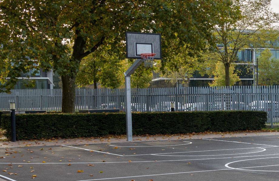 Basketball