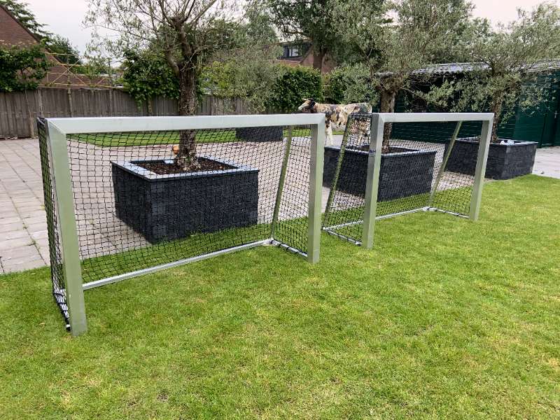 mini-trainingsdoel