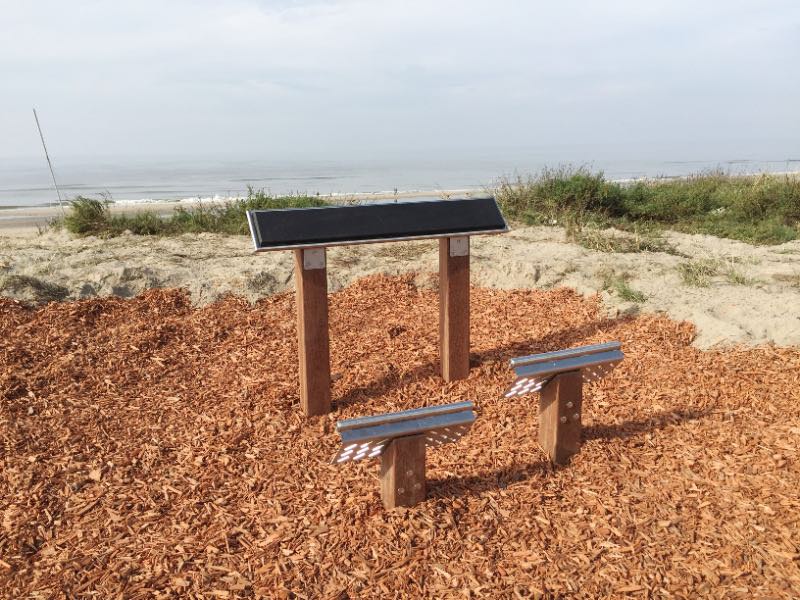 back trainer outdoor fitness